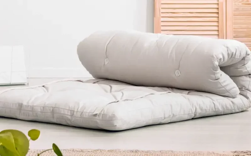 Reasons to Choose the Most Comfortable Futon Mattress