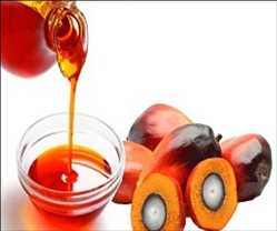 Global Palm Oil Market Industrial Report to Cover Process Analysis, Manufacturing Cost Structure 2022-2028