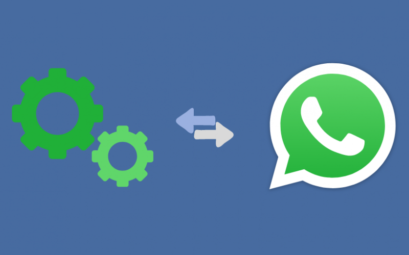 whatsapp business API