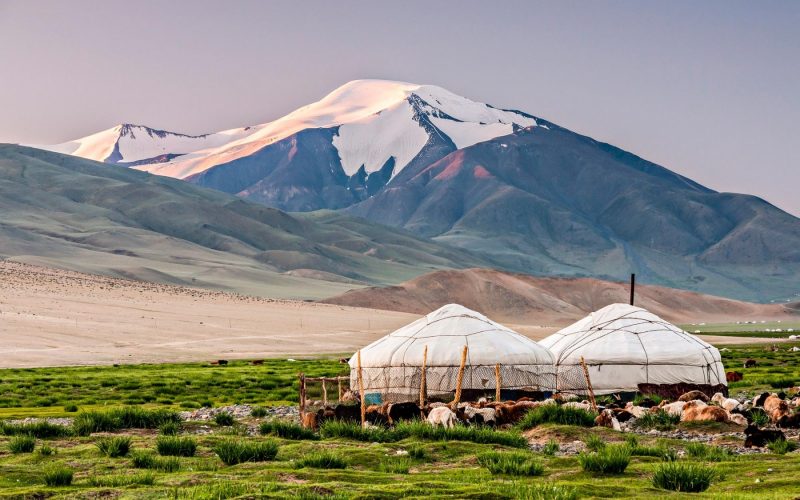 Discover Mongolia: The Ultimate Travel Guide