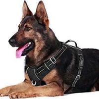 Are Harnesses Good for German Shepherds