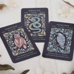 Best oracle cards for beginners