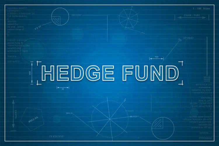 <strong>What is a Hedge Fund? Types, and Strategies</strong>