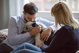 Pet Selection Counseling Session
